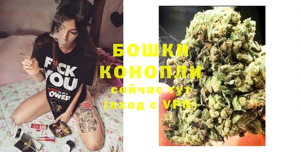 spice Абаза