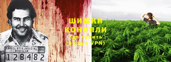 гашик Нея
