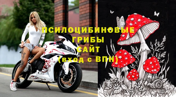 стафф Абинск