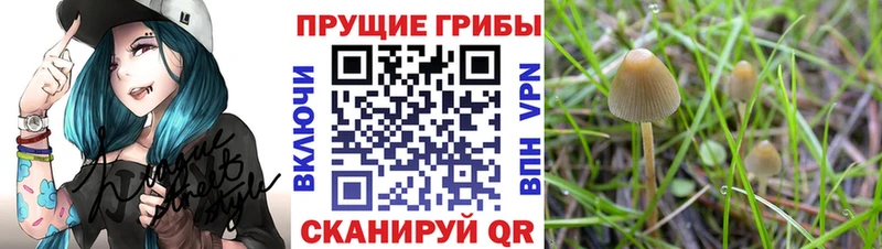 ОМГ ОМГ закладки Батайск Псилоцибиновые грибы мухоморы