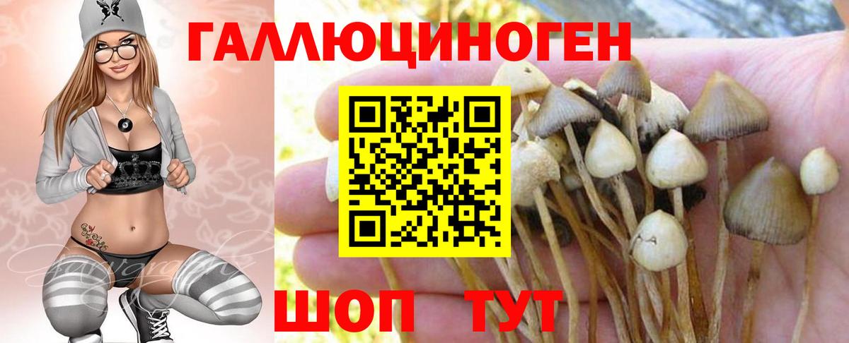 Псилоцибиновые грибы MAGIC MUSHROOMS  Вход с VPN  Батайск  купить   Псилоцибиновые грибы Magic Shrooms 